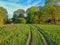 Closeup of a road in the countryside in spring in Belarus