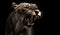 A Closeup of a Roaring Lioness in the Dark