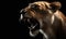 A Closeup of a Roaring Lioness in the Dark