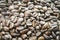 Closeup of roasted coffee beans