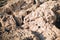 Closeup of the rock. Cyprus - Mediterranean Sea coast. Sea Caves near Ayia Napa.