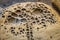 Closeup of rock formation with hundreds of holes with tiny pebble