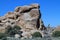 Closeup of Rock Formations at Joshua Tree National Park