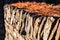 A closeup of a rock wall with sun shining and brown pine needles laying on top