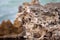 A closeup of the Rocks with severe erosion at Stony Point located in Robe South Australia on November 11th 2020