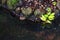 Closeup rocks and water