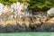 Closeup of rocky shoreline in fjord, Skagway, Alaska, USA