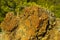 Closeup of rocky surface of hills in the forest near Kemer, Turk