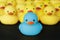 Closeup of rubber duckies