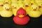 Closeup of rubber duckies with leadership