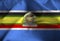 Closeup of Ruffled East African Community Flag, East African Community Flag Blowing in Wind