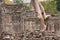 Closeup of ruined wall of an ancient Khmer temple with tree grow