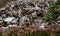 Closeup of ruins of a building