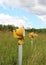 Closeup on runway landing lights in grass field