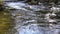 Closeup of a rushing stream, swift flow of spring water with some autumn colourful leaves in the water. Grey big