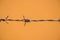 Closeup rust barbed wire on Orange background
