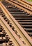 Closeup of Rusted Unused Railroad Tracks