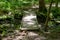 Closeup of a rustic wooden bridge on ahiking trail through green woodland