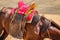 Closeup of saddled horse in Mongolia