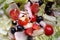 Closeup of salad consisting of small tomatoes, onions, black olives and salad