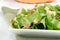 Closeup salad with croutons