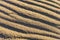 Closeup of sand ripple waves in the desert or on the beach on sunny day. Sandy desert abstract texture background at sunset. Windy