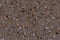 Closeup Sand Texture Background with Fine Grains and Sea Shells