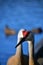 A closeup of Sandhill Cranes perching on the pier.