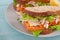 Closeup sandwich with chicken