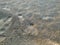 Closeup of sandy texture on beach with footstep signs markings with soft small grains of sand during summer