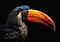 A closeup, saturated color portrait of a mastodonic bird with a