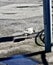 Closeup of a seagull along the side of the road in Invergordon, Scotland, United Kingdom