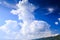 Closeup Seagull in Blue Sky against White Cumulus Cloud