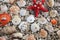 Closeup of seashells scattering on the rocky beach