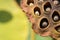 Closeup of seeds of waterlily in garden