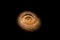 Closeup selective focus of one old ancient shell spiral fossil against black background.