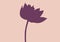 Closeup shadow water lily flower isolated on pastel magenta, vector photo