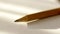 Closeup of Sharp Lead Pencil