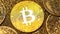 Closeup Shining Bitcoin Real Model Lays in Golden Dust Pile