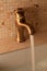 Closeup of shiny brass faucet