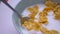 Closeup shoot of sweet breakfast bowl of cereal and milk. Hand dipping a spoon in tasty all american meal