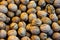 Closeup shoot of the walnuts