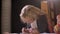 Closeup shoot of young pretty blonde girl making her homework in presence of parent