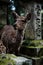 Closeup shot of an adorable deer under a blurred background