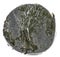 Closeup shot of an ancient Roman silver denarius coin of Emperor Vespasian, reverse