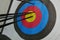 Closeup shot of arrows in archery target - concept of success