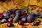 Closeup shot of an assortment of forest berries and nuts on yellow autumn leaves