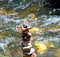 Closeup shot of the balanced stack of pebbles on the river background