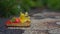 Closeup shot of Balinese offerings to the gods in the local temple. Balinese traditions. Balinese Hinduism