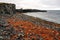 Closeup shot  on the beach of rocky basalt volcanic textured columns in Kalfshamarsvik in Iceland during heavy rain and foggy weat